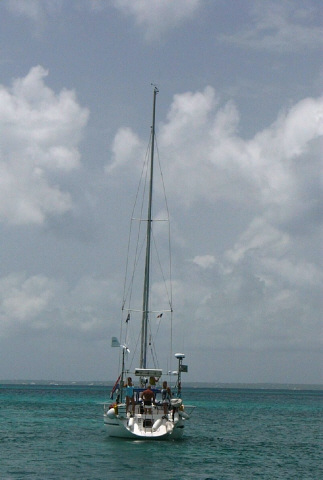Afbeelding / Picture
